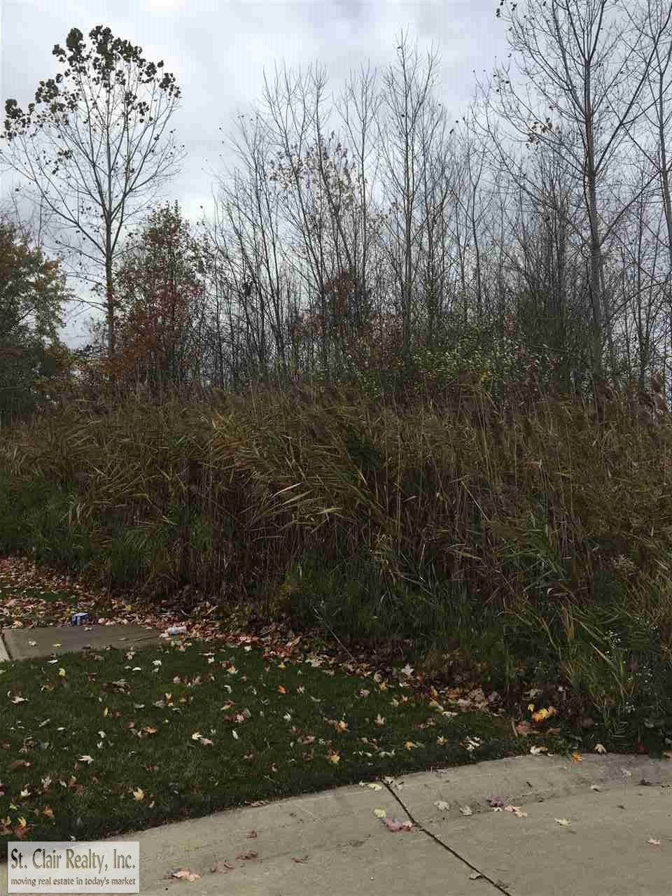 5148 Ivy Lane - Photo 1