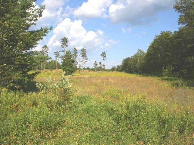 14.75 Acre Clare Avenue - Photo 1