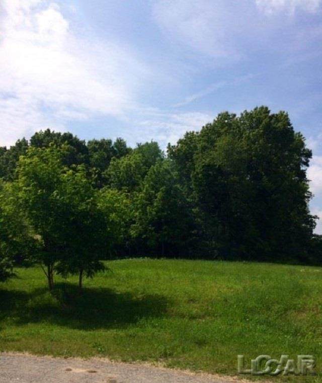 LOT 36 Pinehurst Ct - Photo 1