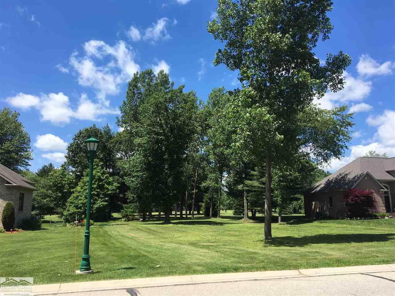 3281 Saint Andrews - Photo 1