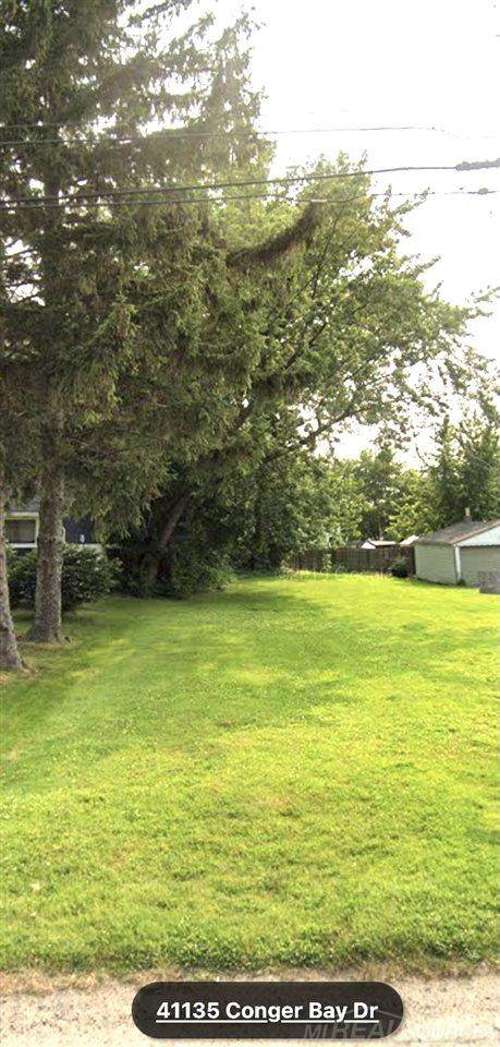 41135 Conger Bay Dr - Photo 1