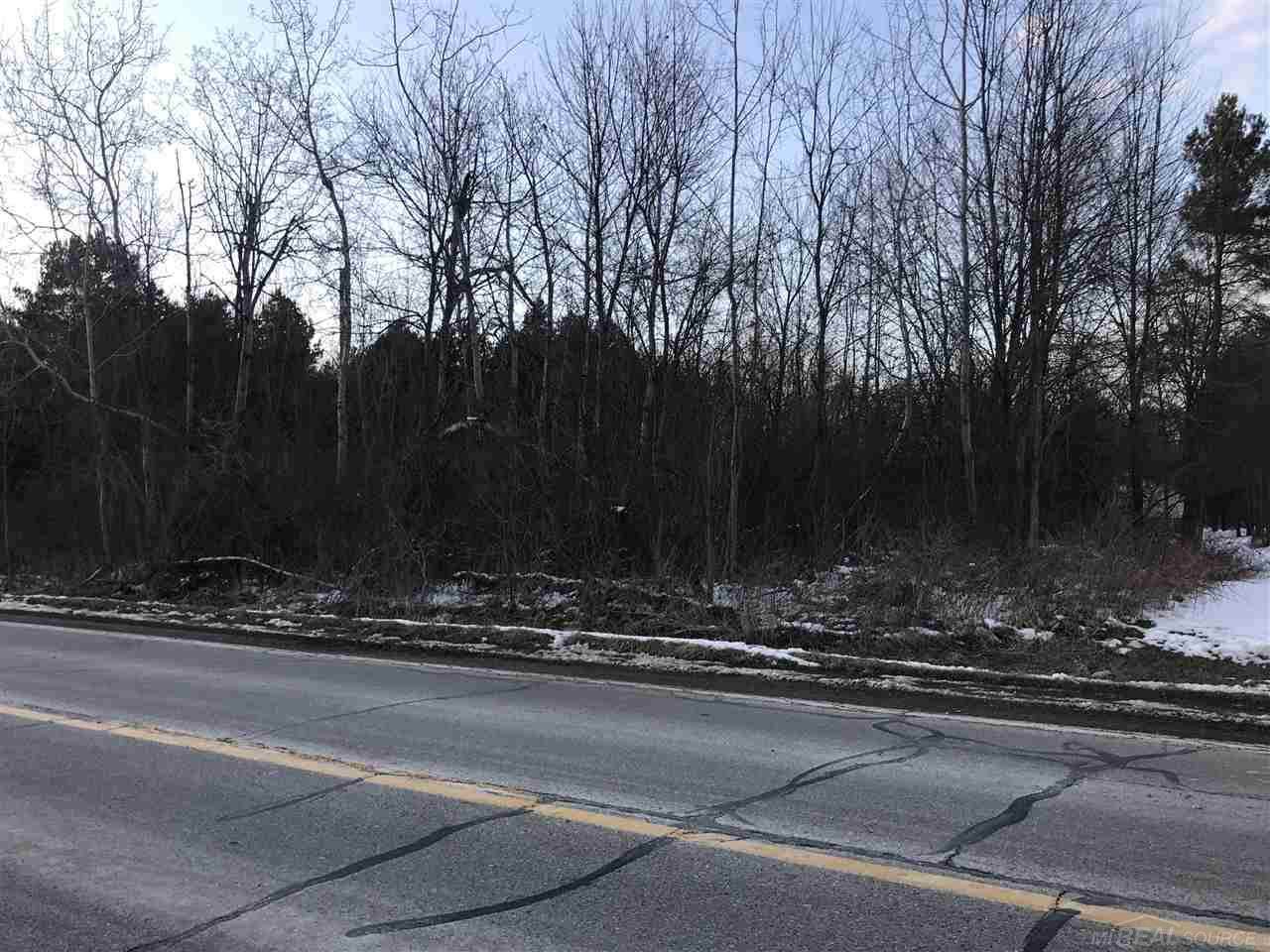 Vacant Stoney Creek Road - Photo 1