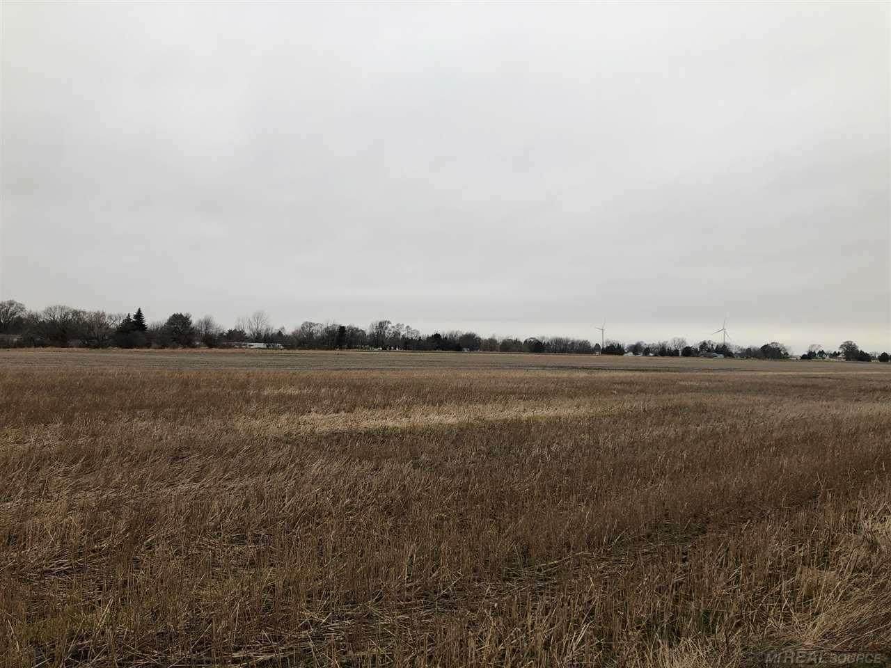 0 Meridian Street - Photo 1