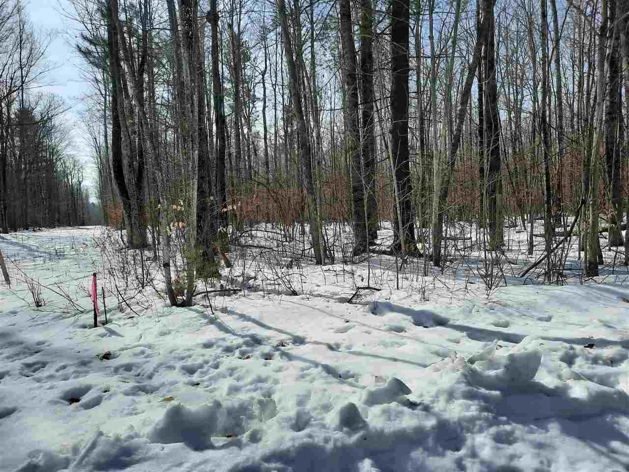 0 Henderson Lake Rd - Photo 1