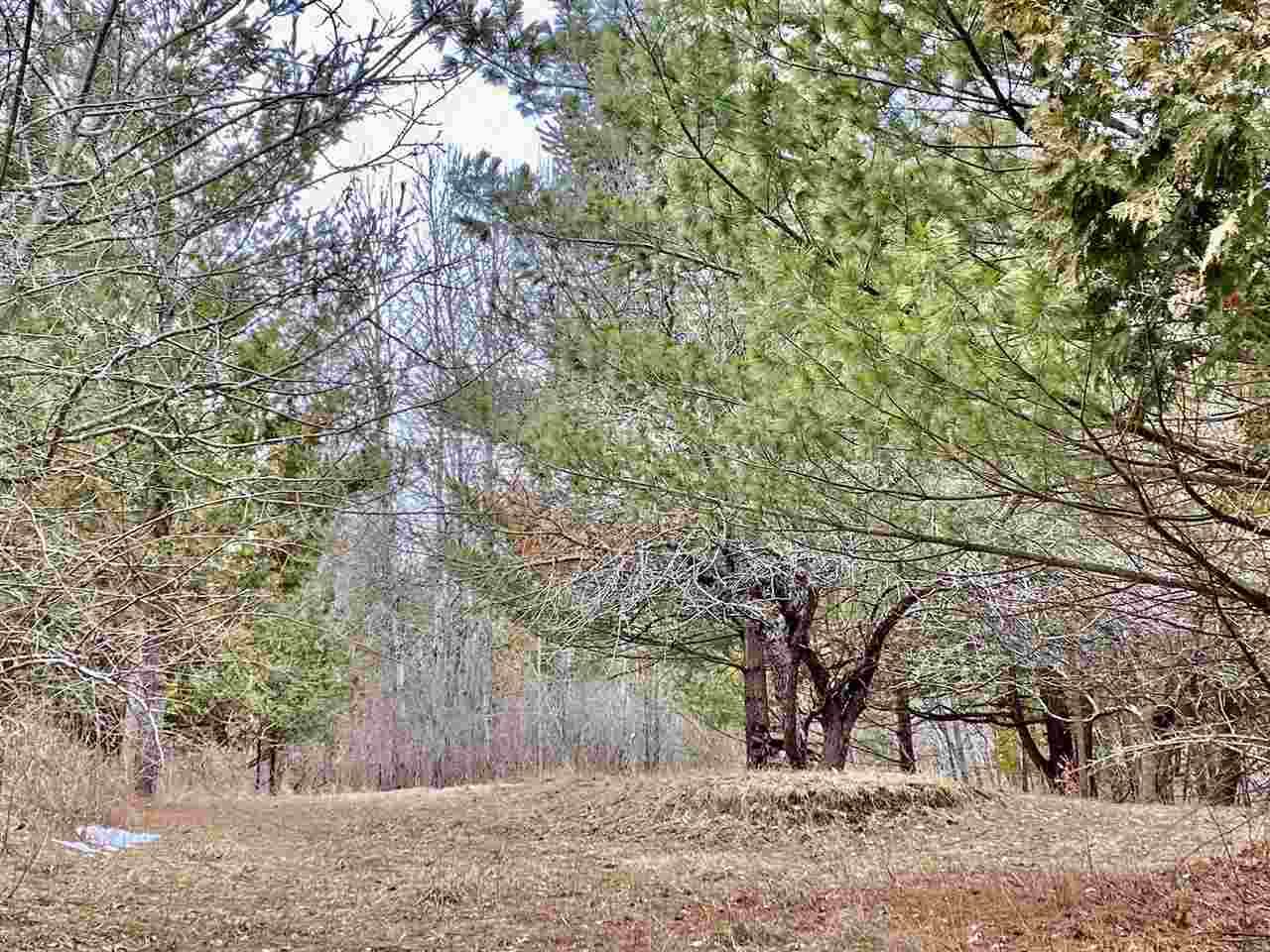5515 Linksview - Photo 1