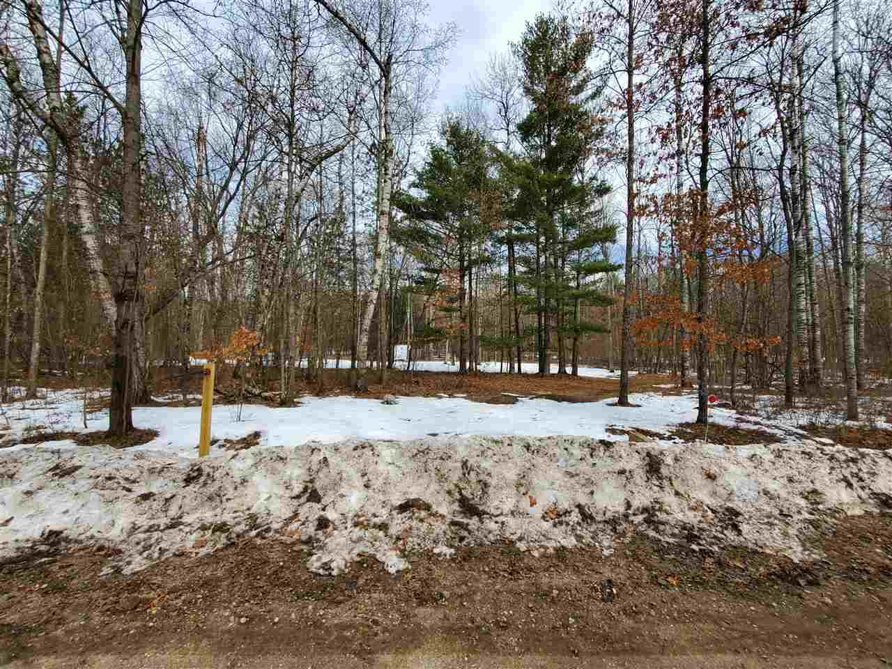 1183-1185 Pine Run - Photo 1