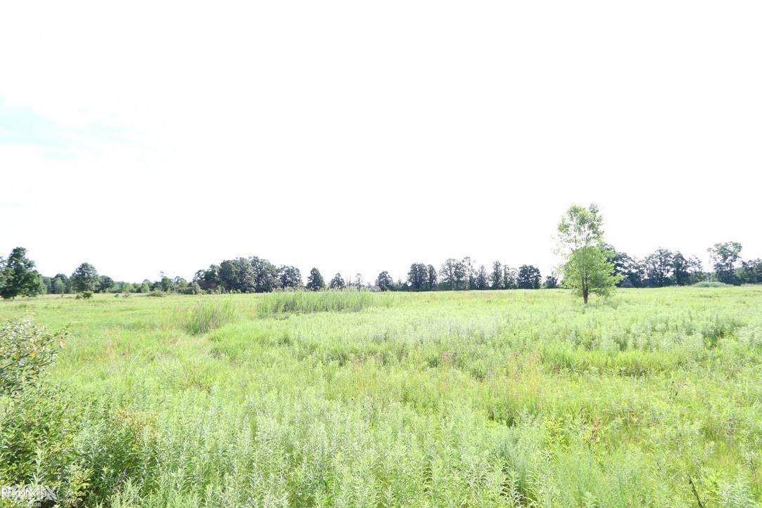 Windmill Ln - Photo 1