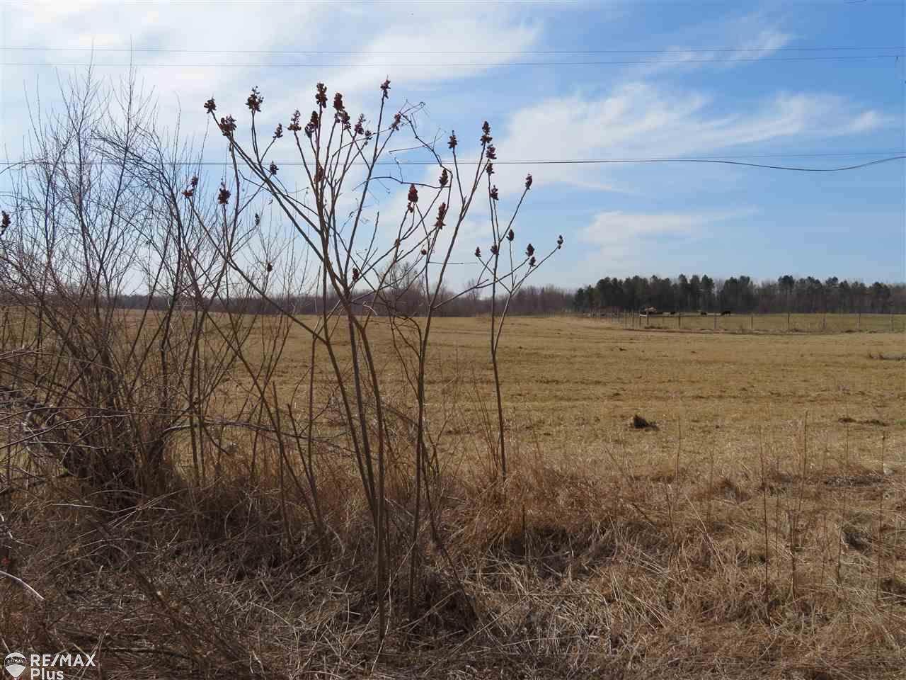 0000 Hollow Corners Rd. - Photo 1