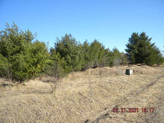1640 Bye Way - Photo 1