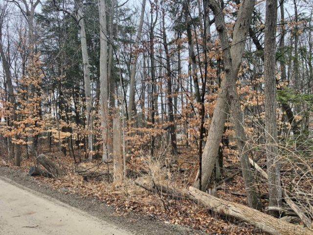 00 Hemlock (Lot's 36 & 37) - Photo 1