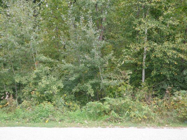 0 Fox Road - Photo 1