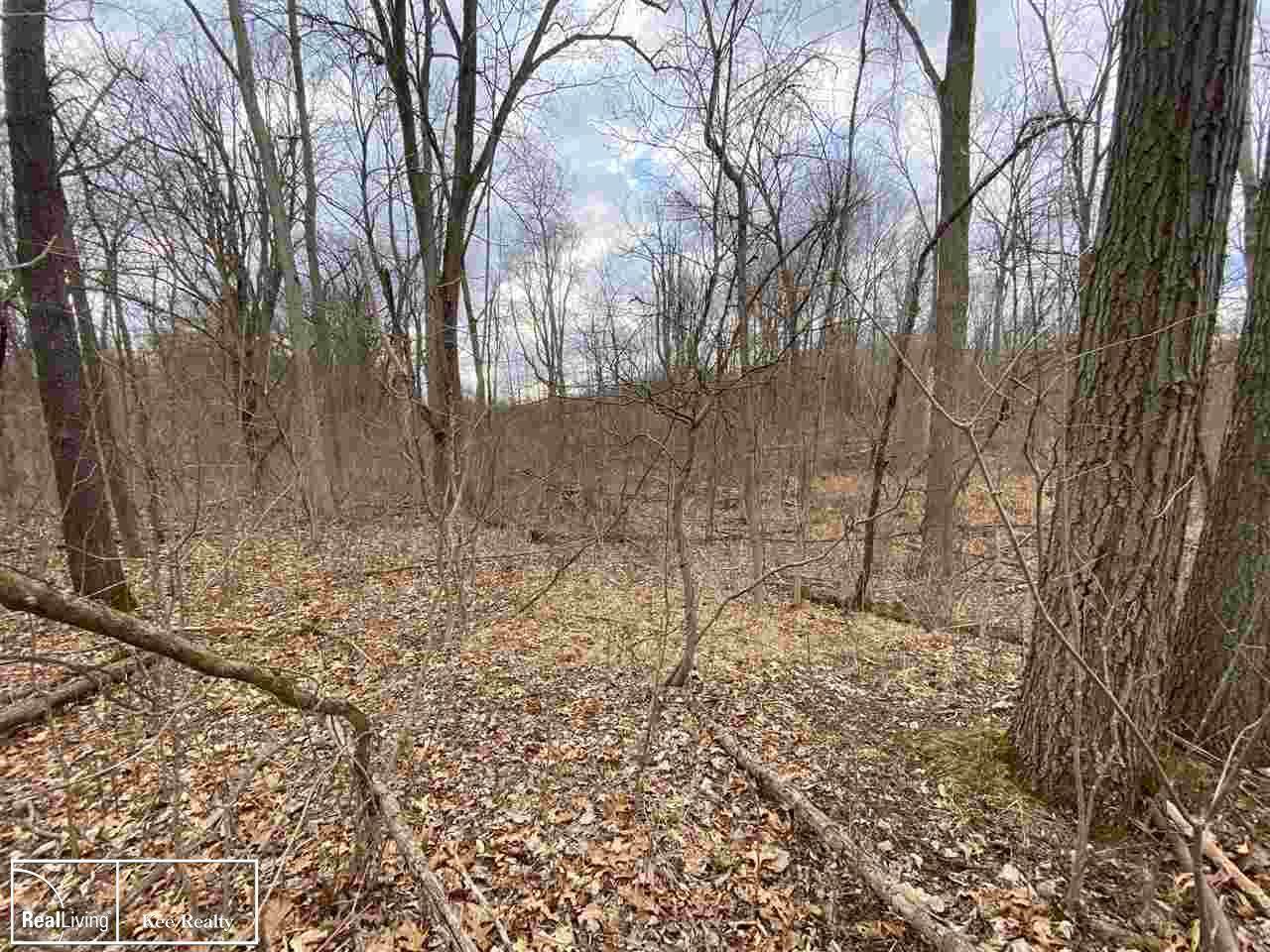 1771 Predmore Road - Photo 1