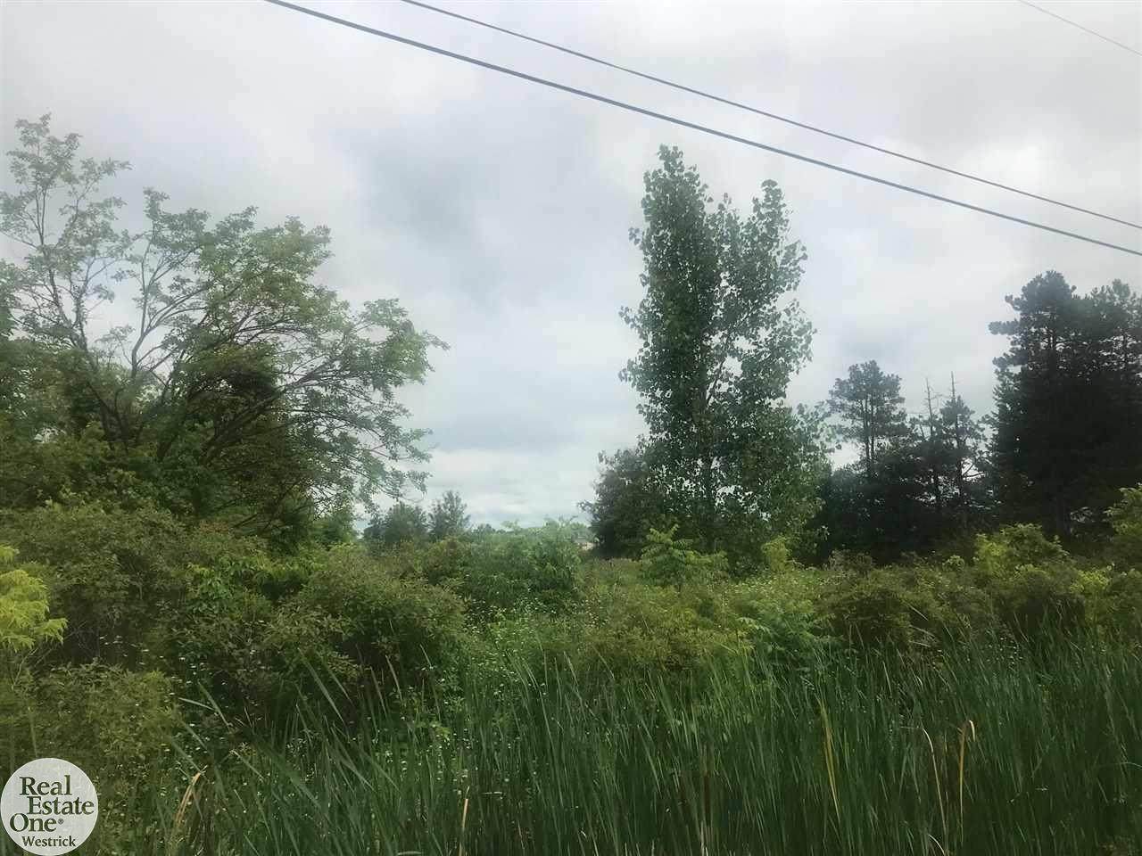 0 Marine City Hwy - Photo 1