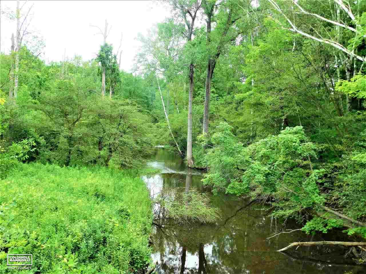 Rynn Rd - Photo 1