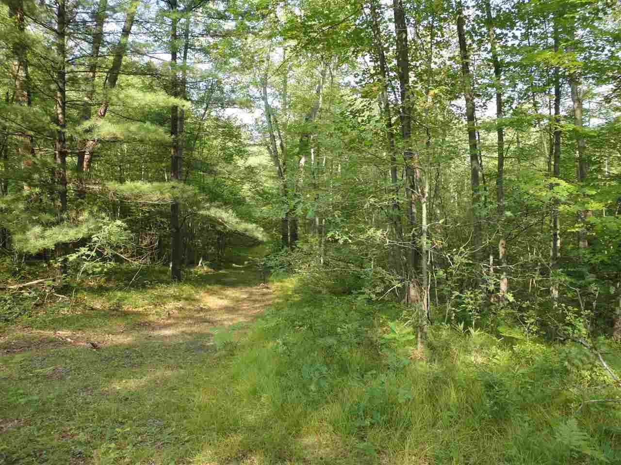 TBD Oak - Photo 1