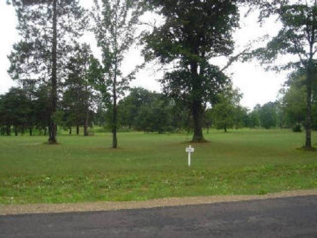 12 White Pine Ridge - Photo 1