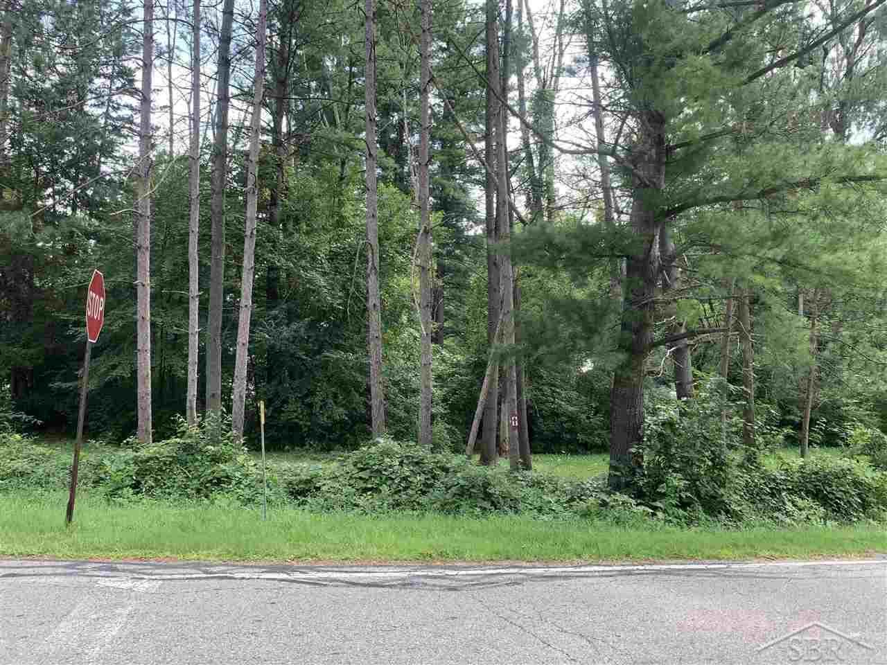 VL Irish Road - Photo 1