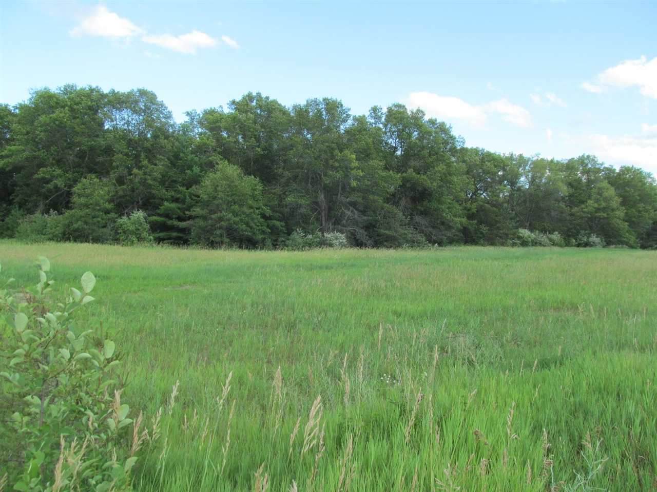 Lot 2 Pond Side Drive - Photo 1