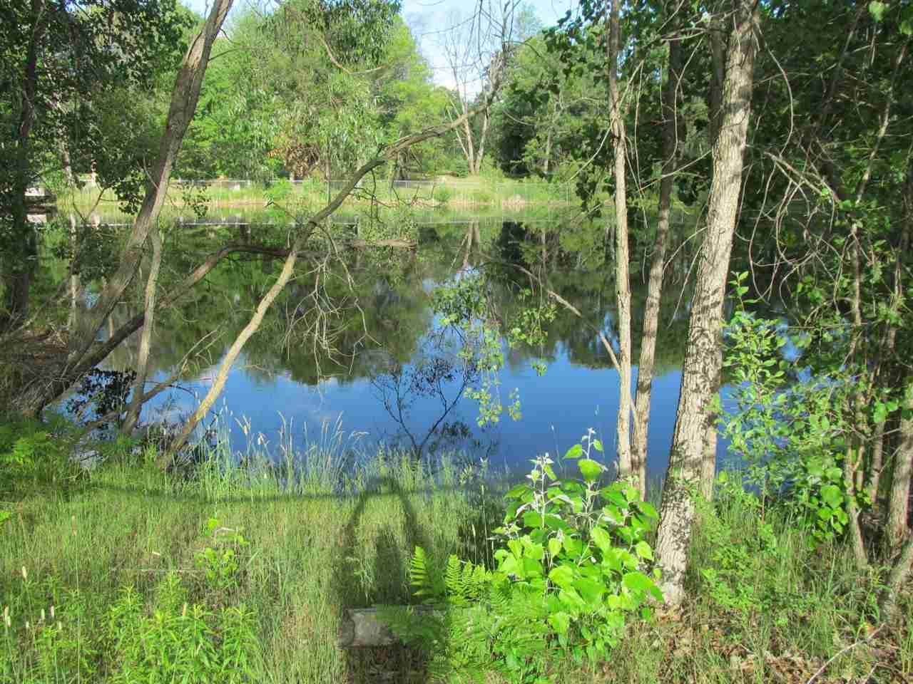 Lot 4 Ludington Drive - Photo 1