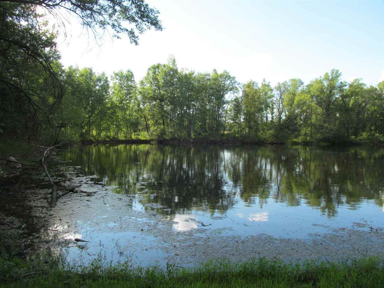Lot 6 Ludington Drive - Photo 1