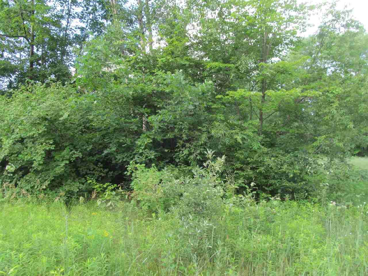 Lot 13 Pond Side Drive - Photo 1