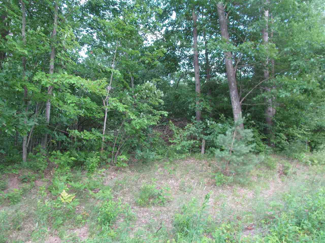 Lot 16 Pond Side Drive - Photo 1