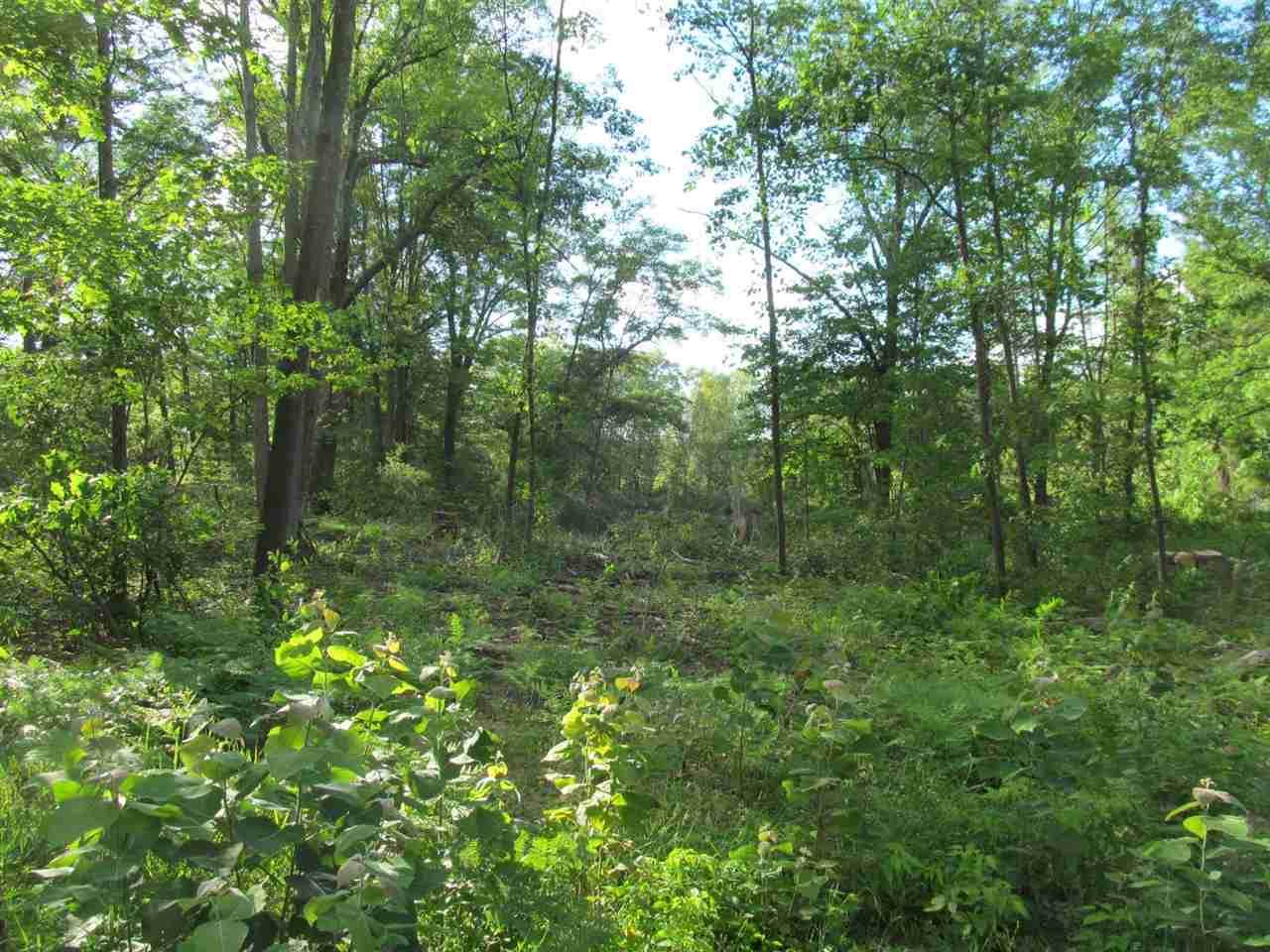 Lot 17 Pond Side Drive - Photo 1