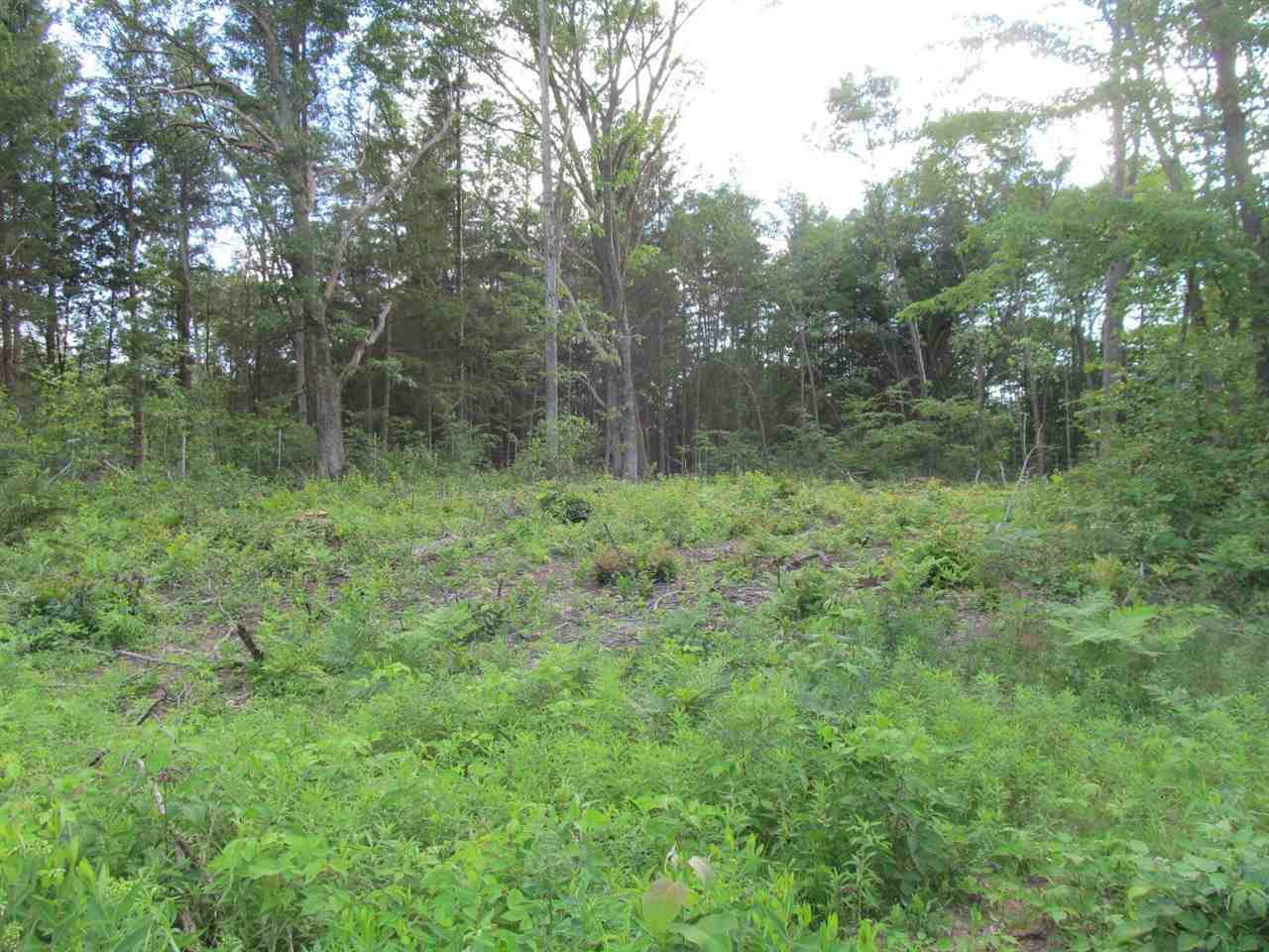 Lot 25 Pond Side Drive - Photo 1