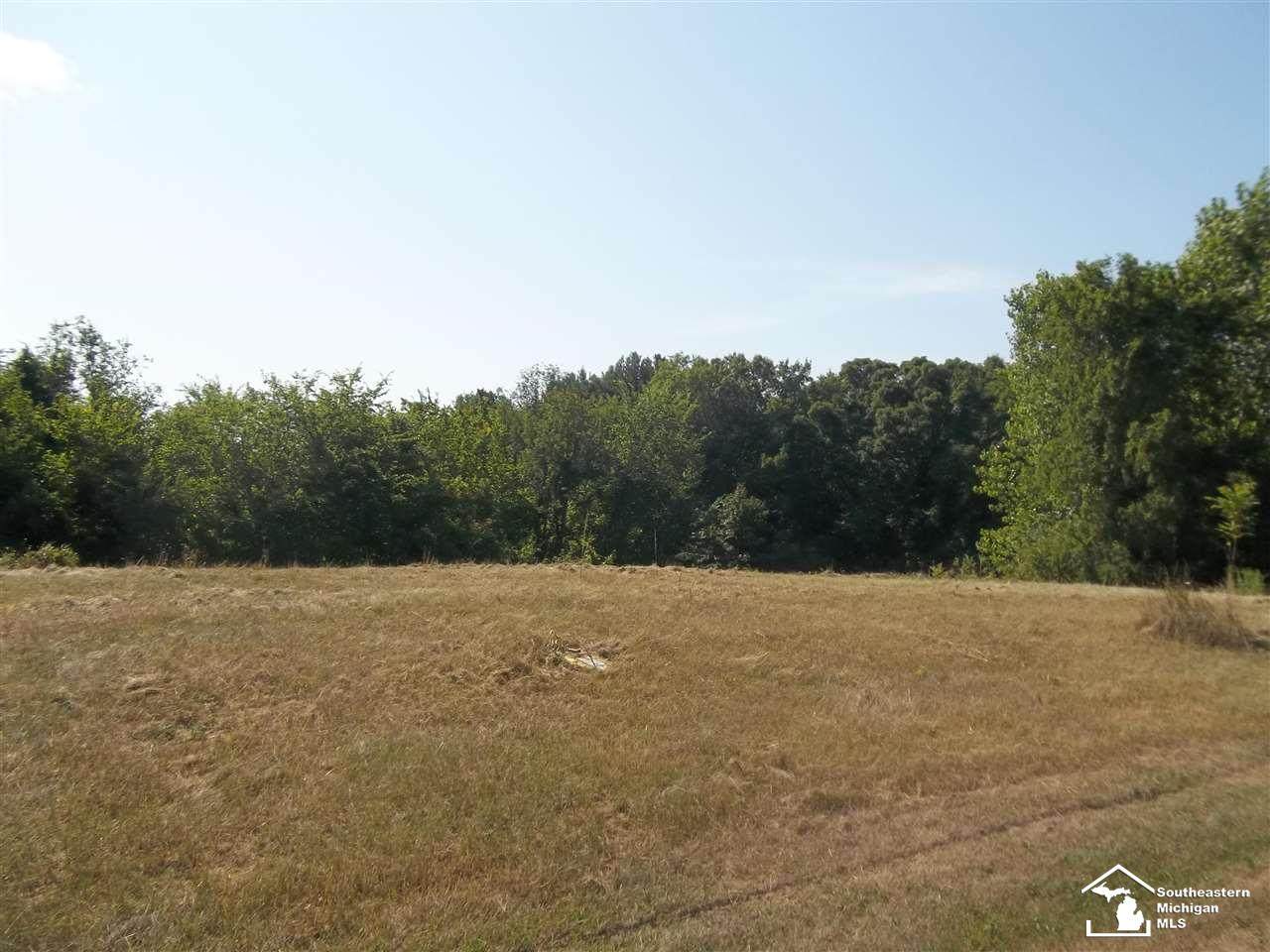5989 Pawson - Photo 1
