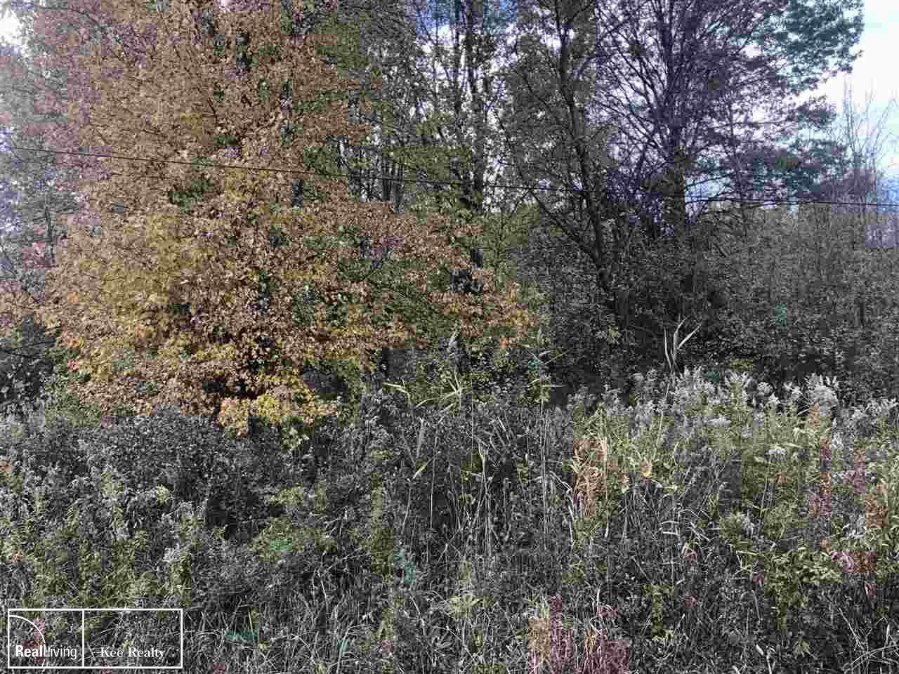 Parcel 3 Perch Rd. - Photo 1