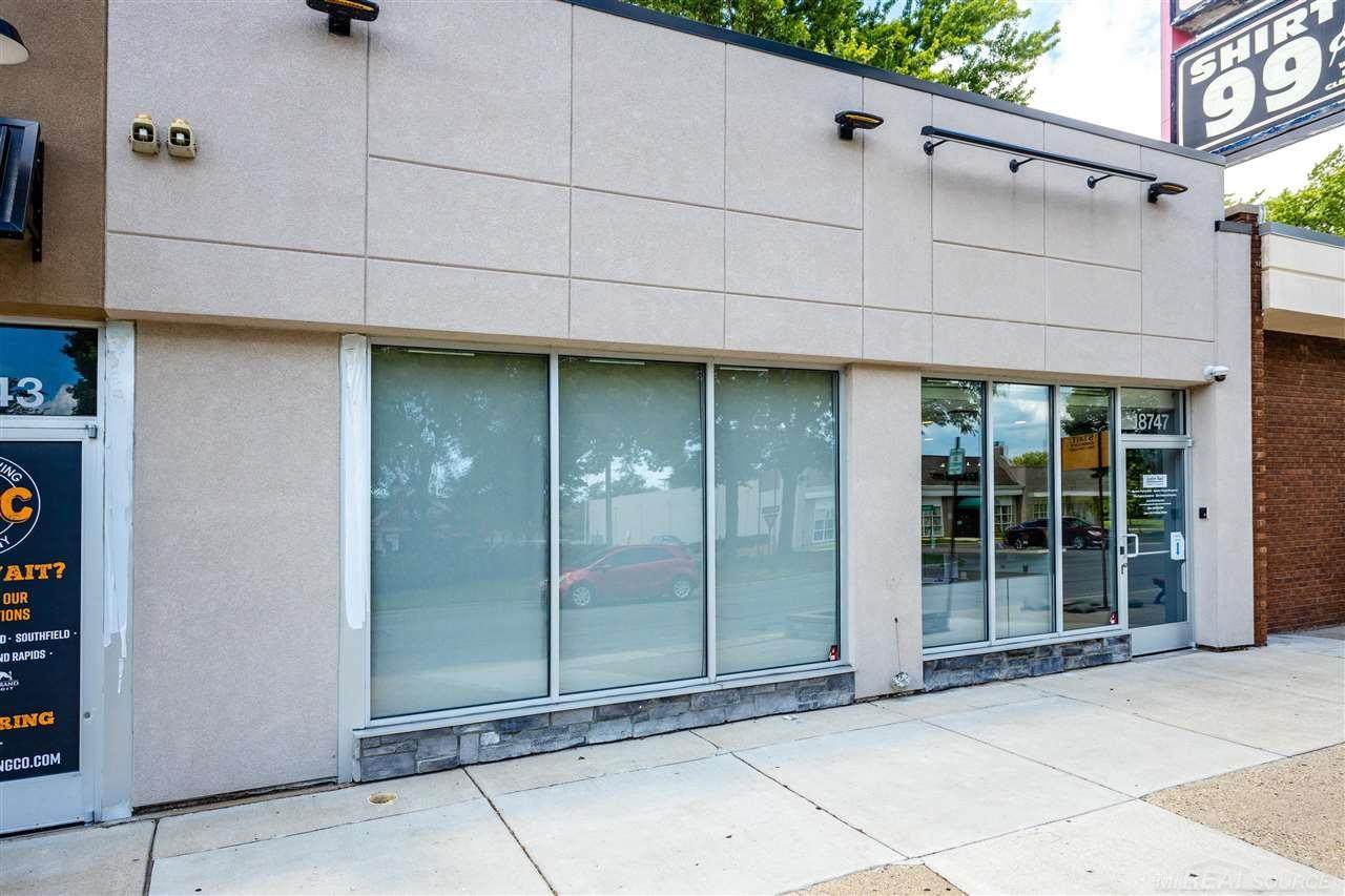 18747 Mack Ave - Photo 1