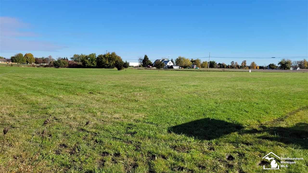 0 Sylvania-Petersburg Road - Photo 1