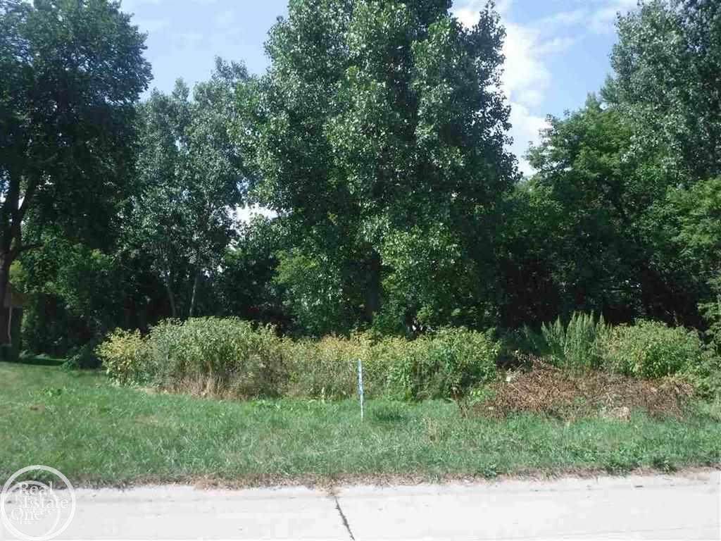 00 Delta Dr - Photo 1