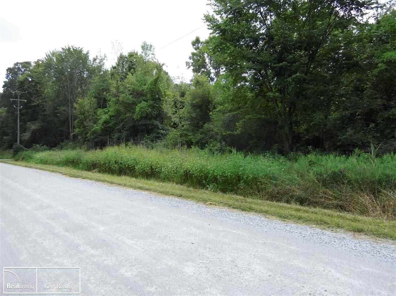 0 Mayer Rd - Photo 1