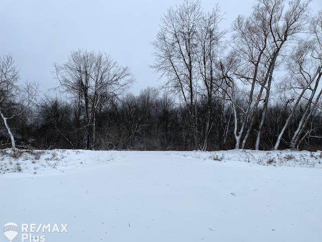 Parcel C Roods Lake Road - Photo 1
