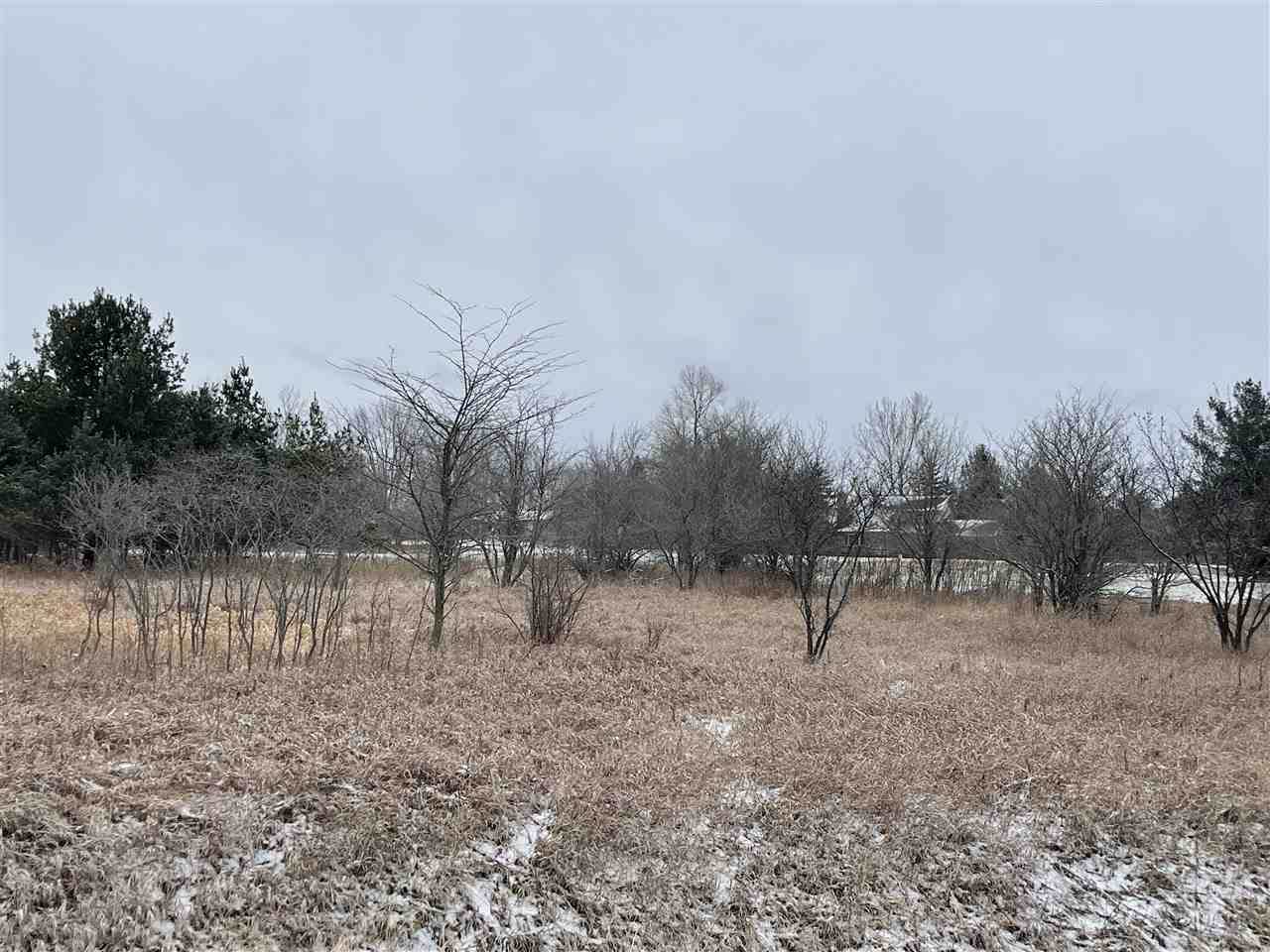 74 Winchester Way - Photo 1