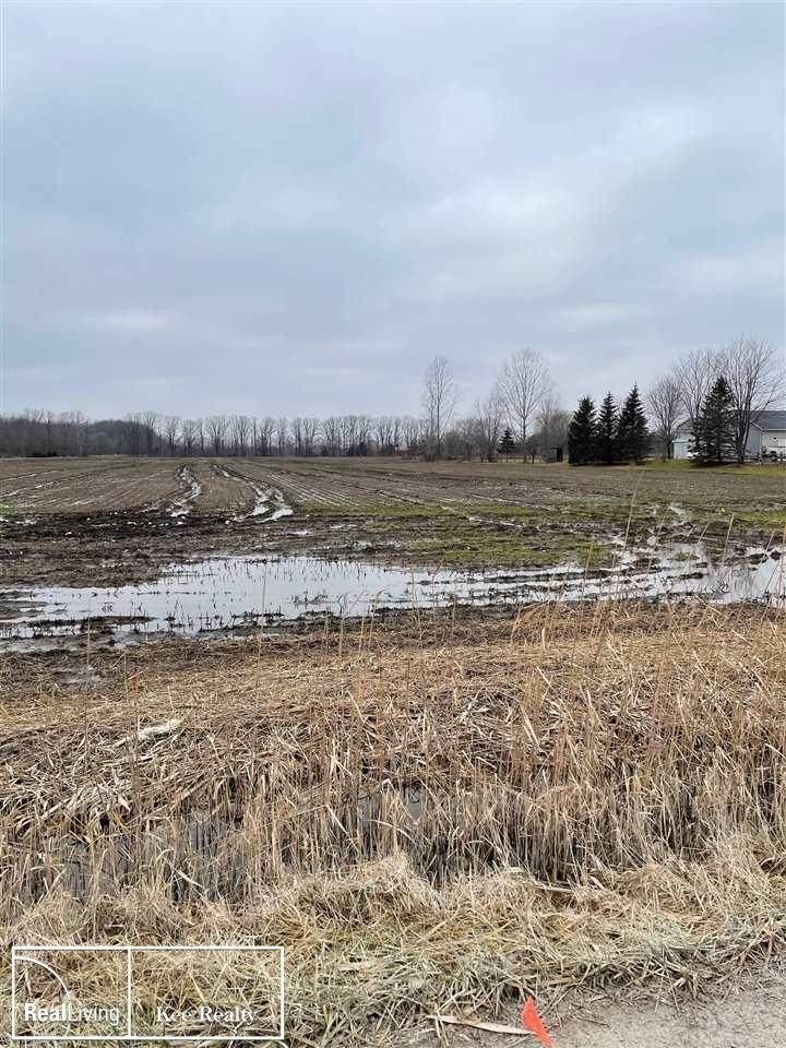 0 Place Rd - Photo 1