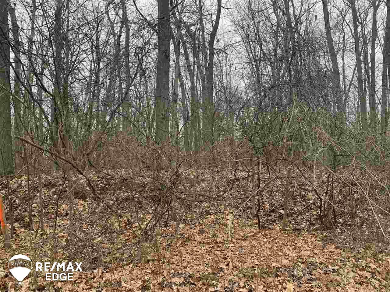 0 Willard Rd - Photo 1