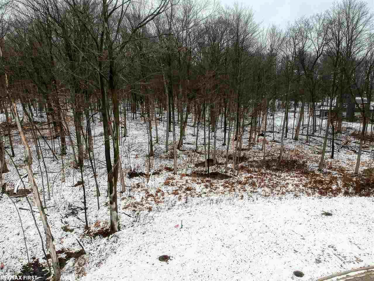 67913 Ashley Ave. - Photo 1