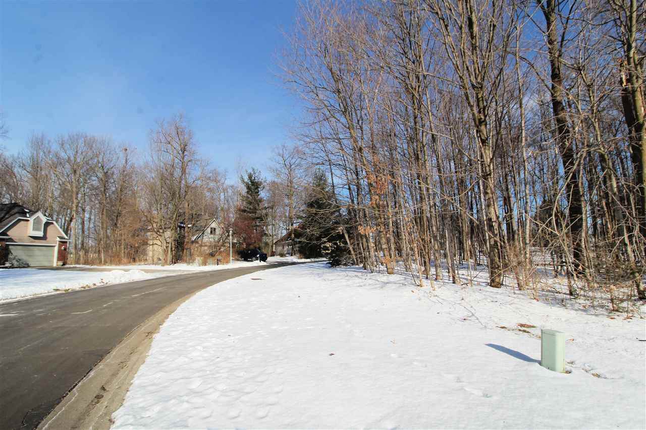 2291 Woods West Drive - Photo 1