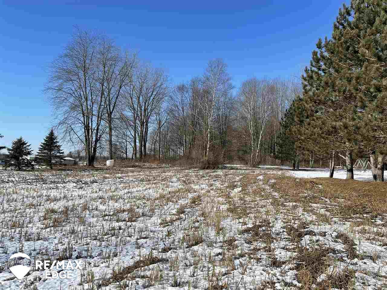 0 Vassar - Photo 1