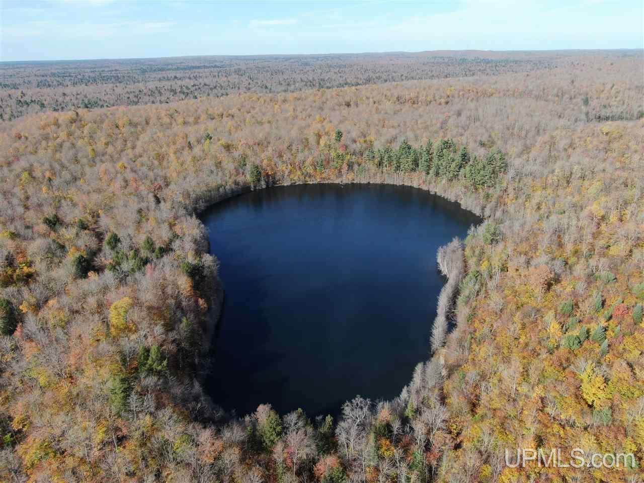 0000 Near Sunken Lake Road - Photo 1