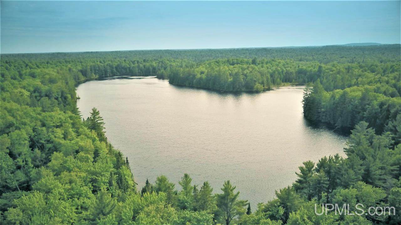 000000 Near Old Seney Road - Photo 1