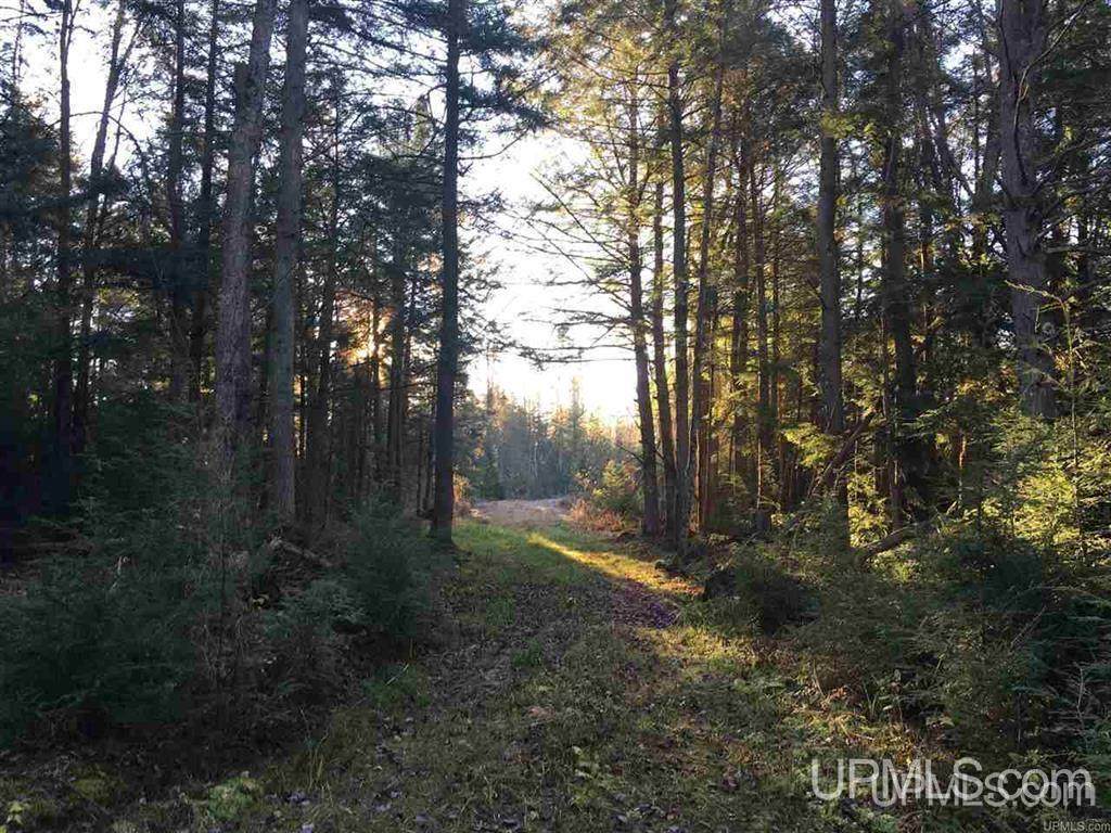 TBD Little Lake Rd. - Photo 1