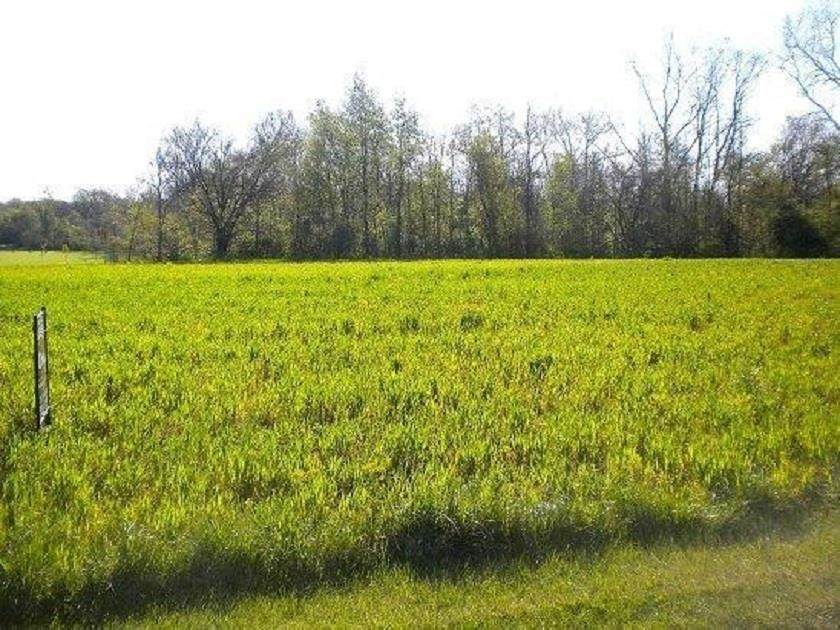 9813 Oak Ridge Rd - Photo 1