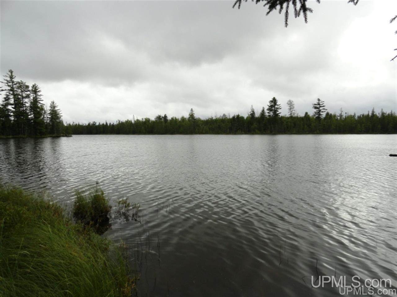  Voelker Lake - Photo 1