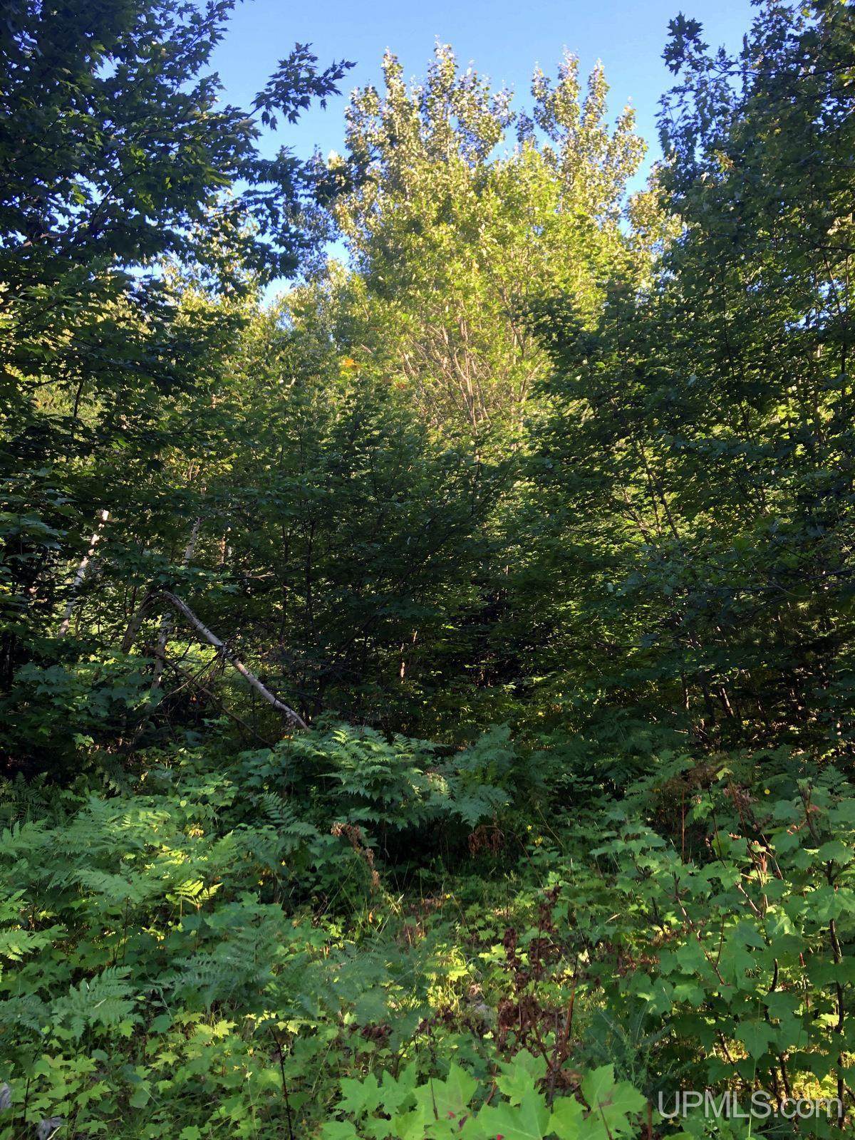 https://bt-photos.global.ssl.fastly.net/realsource/1280_boomver_1_50122652-2.jpg
