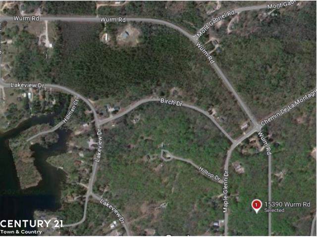 15390 Wurm Road - Photo 1