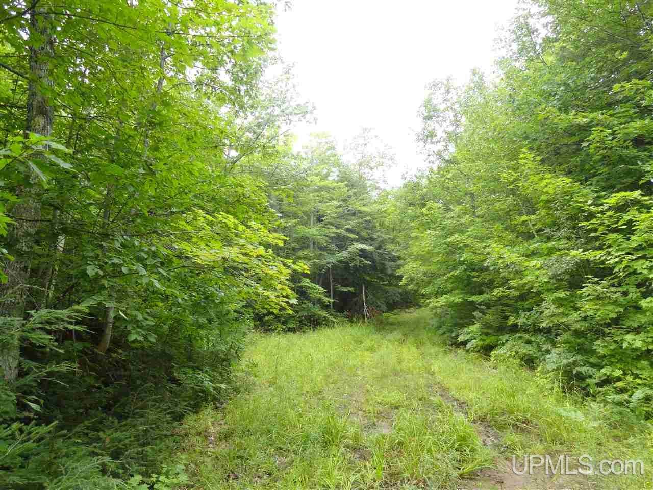 320 Acre Off Co Rd 510 - Photo 1
