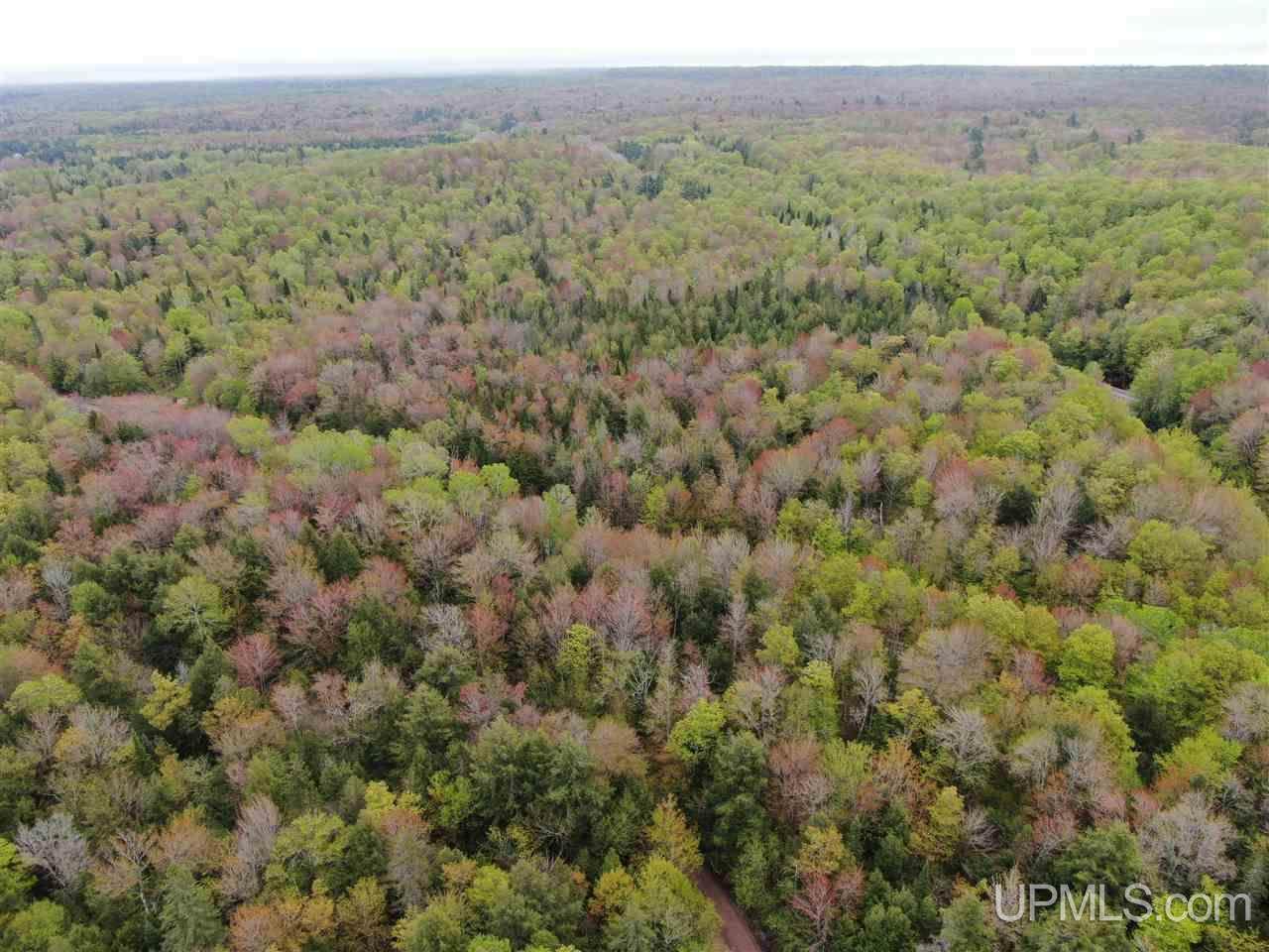 0000 County Road 577 - Photo 1